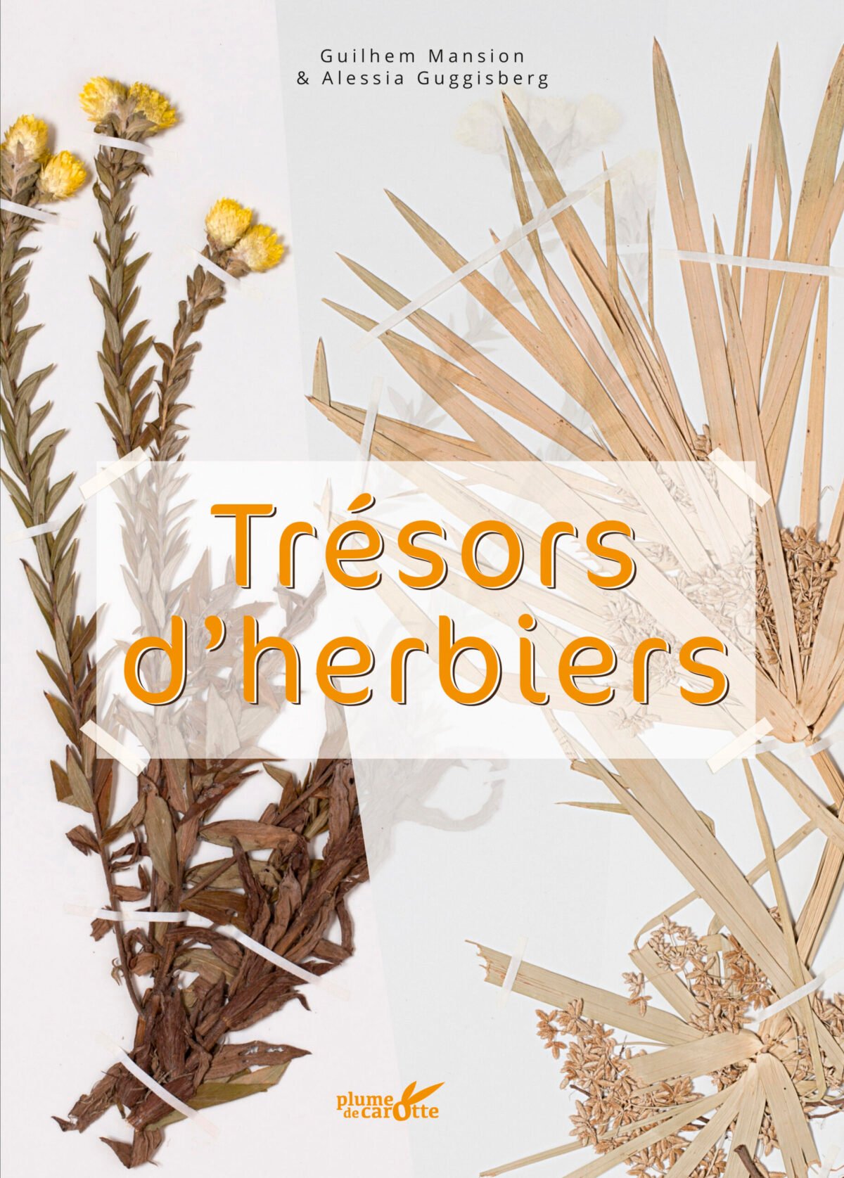 Couverture du livre Trésors d'herbiers