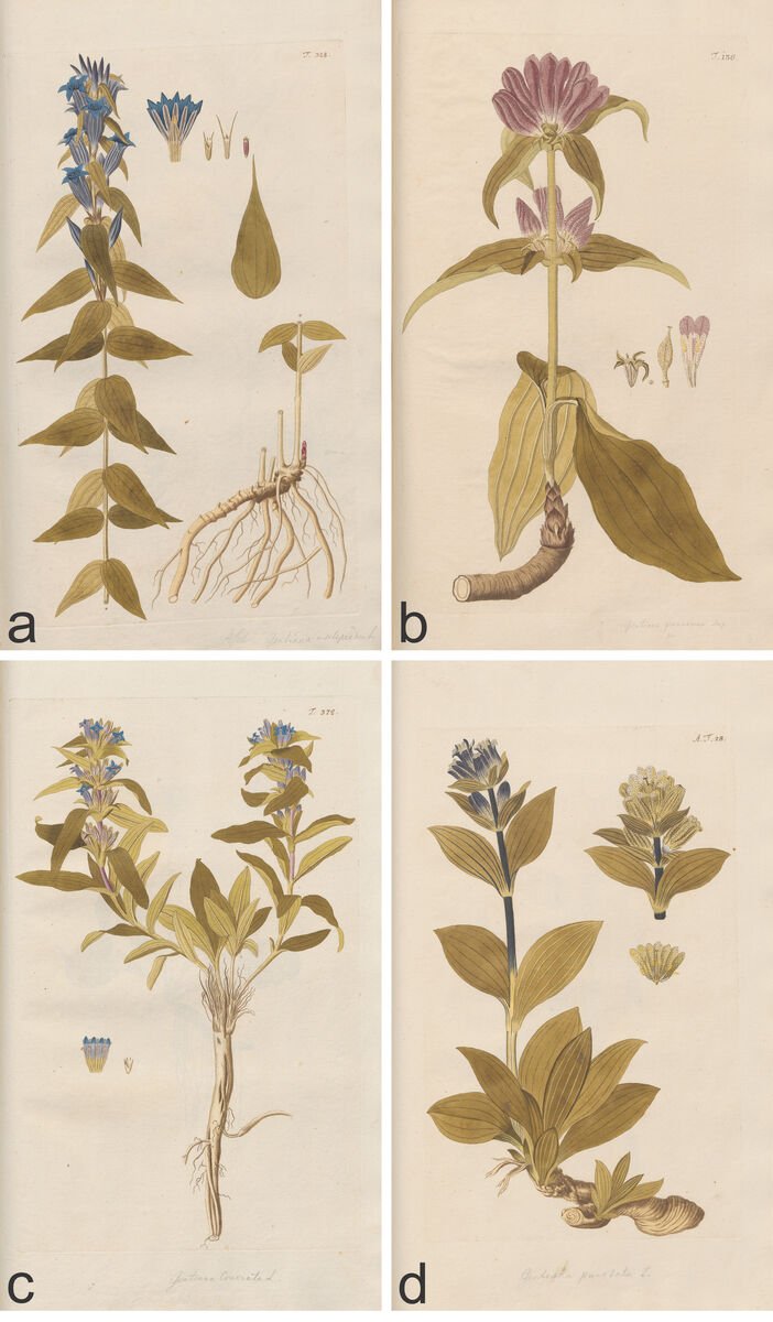Figure12_[1:3_Seite_1000_Zeichen]_Jacquin